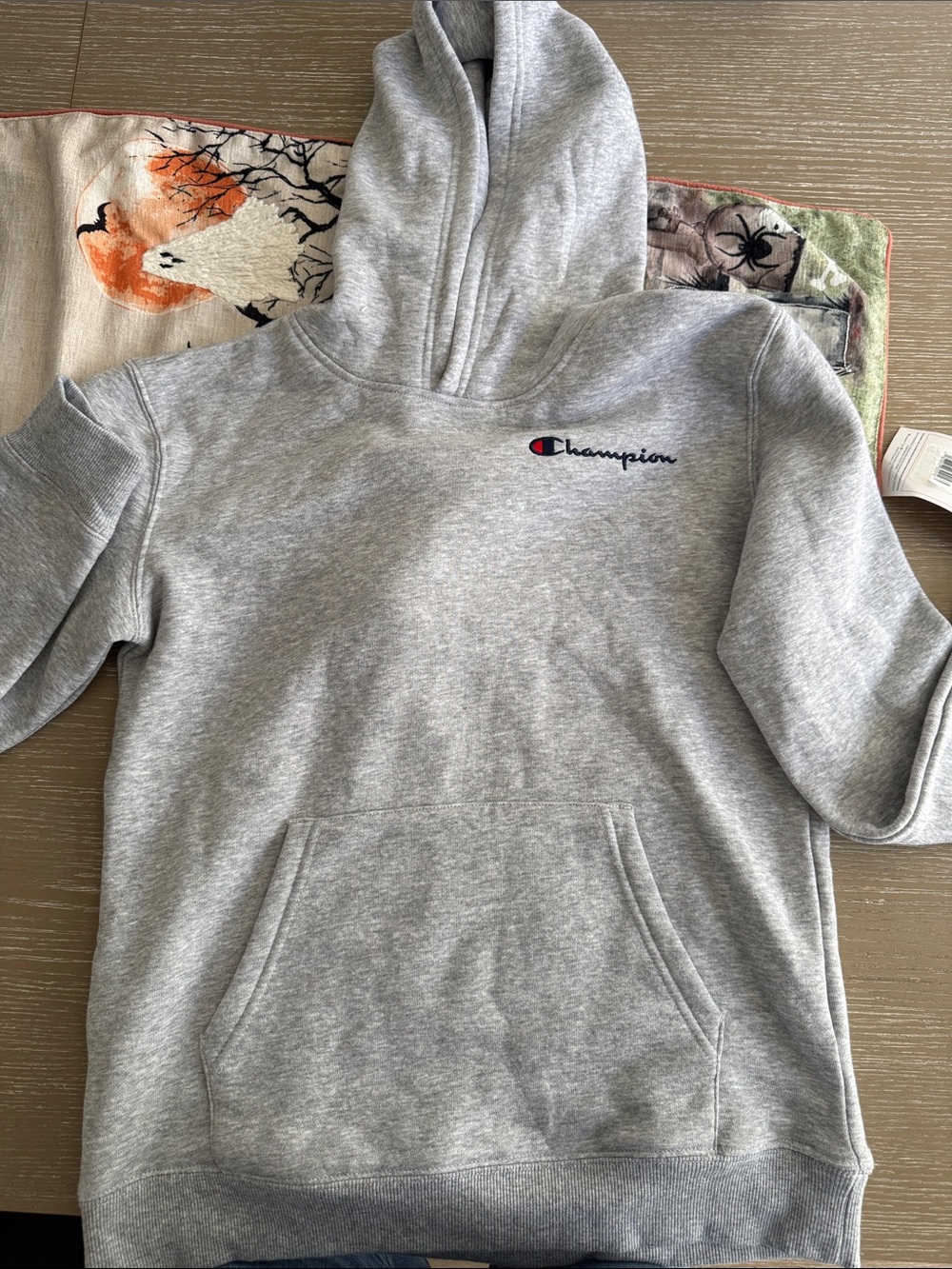 Champion Gray Pullover Hoodie with Embroidered Logo